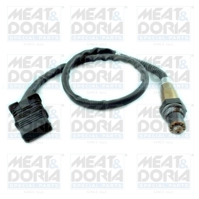 Oxygen Sensor